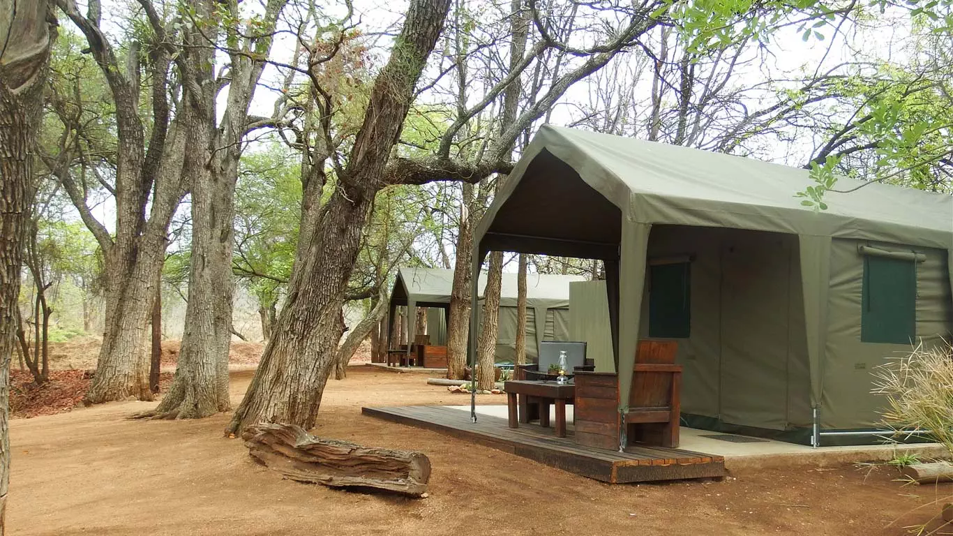 The unfenced camp means animals can come really close and even walk through the camp