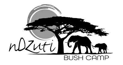 Ndzuti Bush Camp