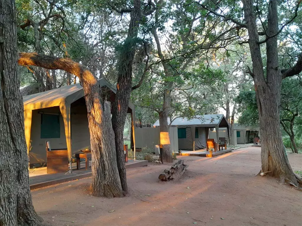 ndz-bush-camp-static-img5 Afternoon sun on the ndzuti safari camp tents.
