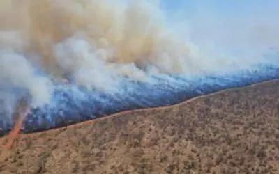 Burning Balule